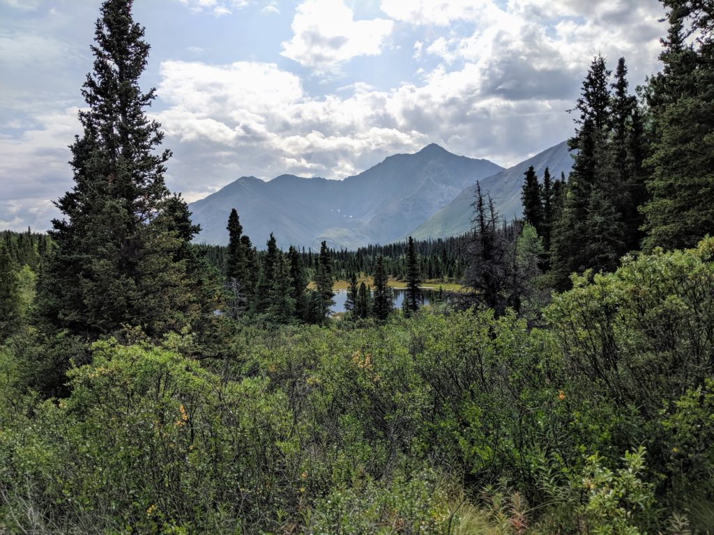yukon 